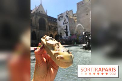 Les glaces 2017 de l'Eclair de Génie