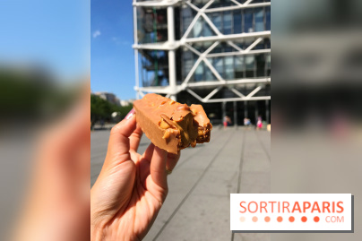 Les glaces 2017 de l'Eclair de Génie