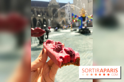 Les glaces 2017 de l'Eclair de Génie