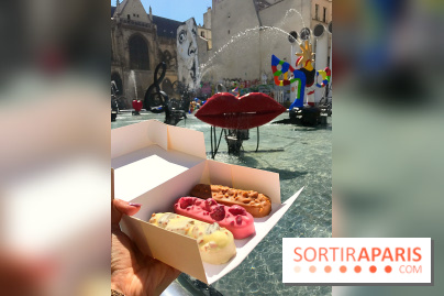 Les glaces 2017 de l'Eclair de Génie