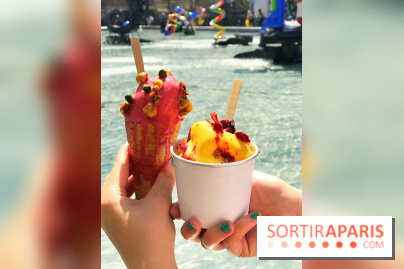 Les glaces 2017 de l'Eclair de Génie