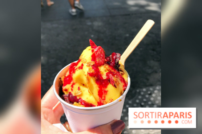 Les glaces 2017 de l'Eclair de Génie