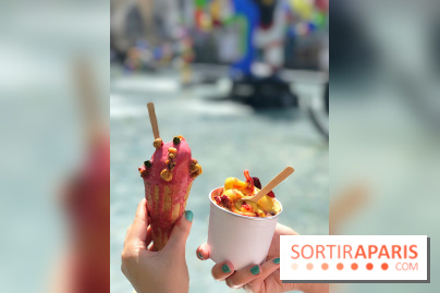 Les glaces 2017 de l'Eclair de Génie