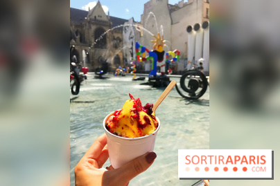 Les glaces 2017 de l'Eclair de Génie