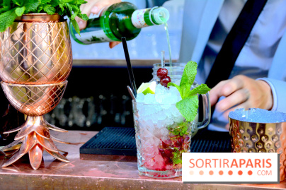 La terrasse cachée du Saint-James