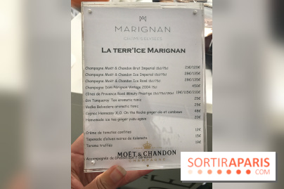 Le rooftop de l'Hôtel Marignan