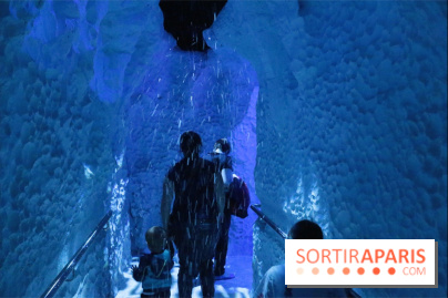 Les Manchots de l'Aquarium Sea Life