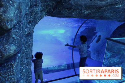 Les Manchots de l'Aquarium Sea Life