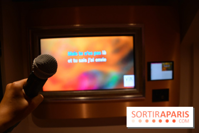 VIK Karaoké Saint Michel