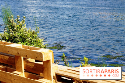 Rosa à l'Ouest : Rosa Bonheur sur les Quais d'Asnières-sur-Seine