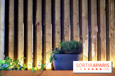 Les Grands Verres au Palais de Tokyo