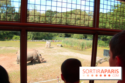 Camion Safari : une visite guidée dans les coulisses de Thoiry