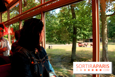 Camion Safari : une visite guidée dans les coulisses de Thoiry