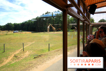 Camion Safari : une visite guidée dans les coulisses de Thoiry