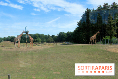 Camion Safari : une visite guidée dans les coulisses de Thoiry