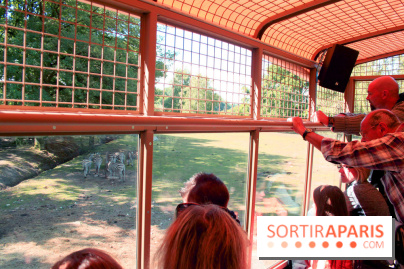 Camion Safari : une visite guidée dans les coulisses de Thoiry