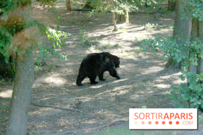Camion Safari : une visite guidée dans les coulisses de Thoiry