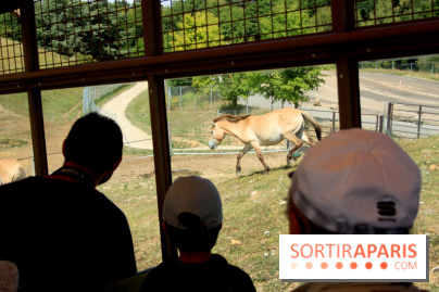 Camion Safari : une visite guidée dans les coulisses de Thoiry