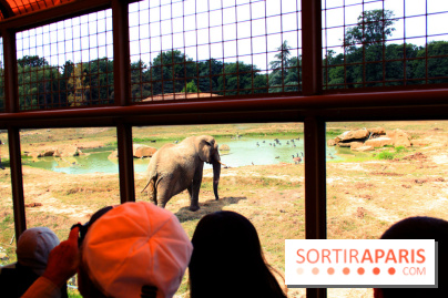 Camion Safari : une visite guidée dans les coulisses de Thoiry