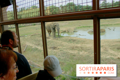 Camion Safari : une visite guidée dans les coulisses de Thoiry