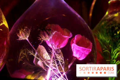 No Entry : le bar speakeasy de Pink Mamma