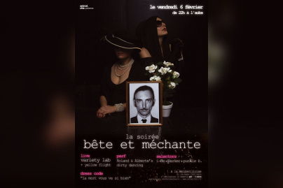 Soirée, Concert, Paris, Clubbing, Bellevilloise, Soirée bête et méchante, Yellow Flight, Variety Lab, Roland & Alberte