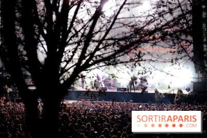 Rock En Seine 2017 : Franz Ferdinand