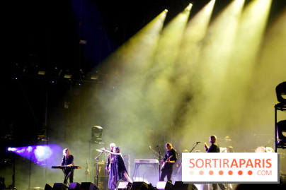 Rock En Seine 2017 : PJ Harvey