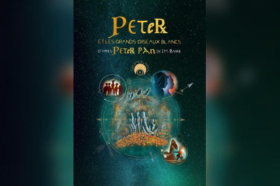 Peter et les Grands Oiseaux Blancs : théâtre envoûtant à Comédie Nation