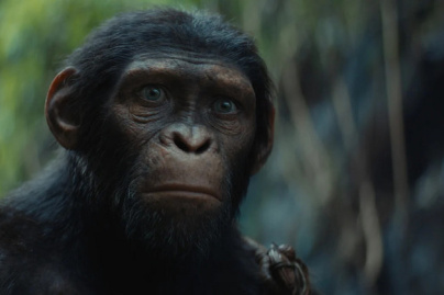 La Planète des Singes : Le Nouveau Royaume - Une ère sombre se dévoile : nouvelle bande-annonce