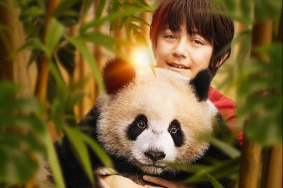 Moon le panda : l’histoire d’une amitié hors du commun avec Alexandra Lamy