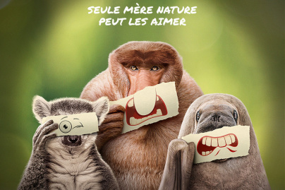 Les outsiders du monde animal : Ryan Reynolds raconte les marginaux de la nature