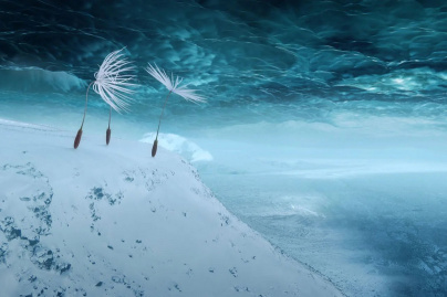 Planètes : le film d’animation de Momoko Seto arrive en mars 2026