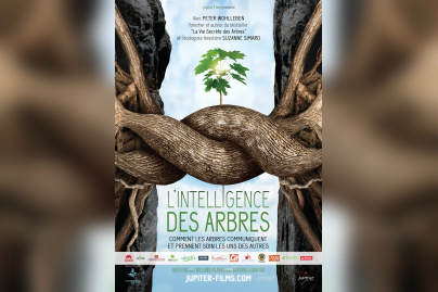 L'intelligence des Arbres : avant-premières et débats