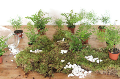 Le mercredi tout est permis à Bercy Village