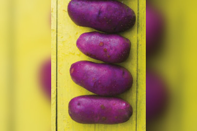 Patate ! L'expo à la Cité des Sciences et de l'Industrie