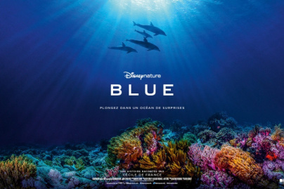 BLUE, le dernier Disneynature nous plonge au cœur de l'Océan