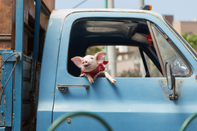 Holy Lands de Amanda Sthers : gagnez vos places ! 