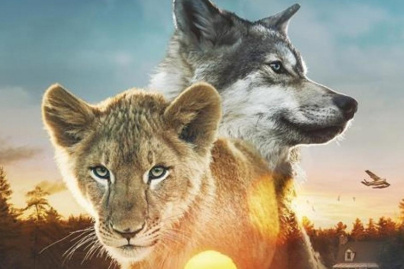 Le loup et le lion de Gilles de Maistre : interview et bande-annonce