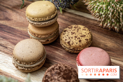 Pierre Hermé Macaron