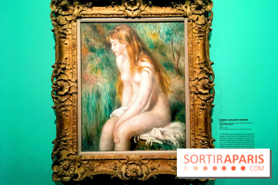 Monet Collectionneur, les photos de l'exposition 