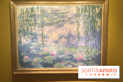 Monet Collectionneur, les photos de l'exposition 