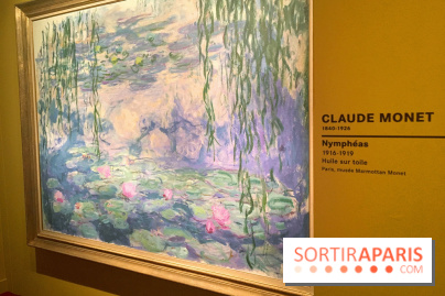 Monet Collectionneur, les photos de l'exposition 