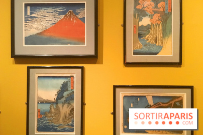 Monet Collectionneur, les photos de l'exposition 