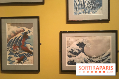 Monet Collectionneur, les photos de l'exposition 