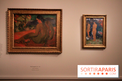 La collection Ordrupgaard à Paris : les photos