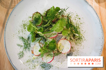 Flora Danica : une parenthèse danoise sur les Champs-Elysées