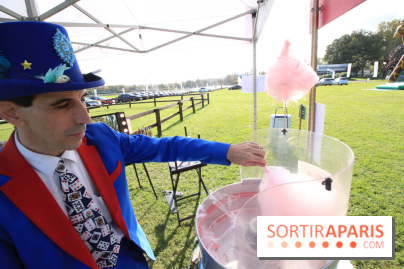 Ventes de voitures d'occasion à 'lhippodrome de St Cloud