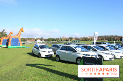 Ventes de voitures d'occasion à 'lhippodrome de St Cloud