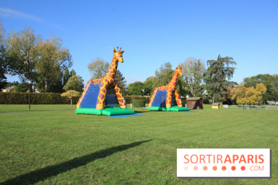 Ventes de voitures d'occasion à 'lhippodrome de St Cloud